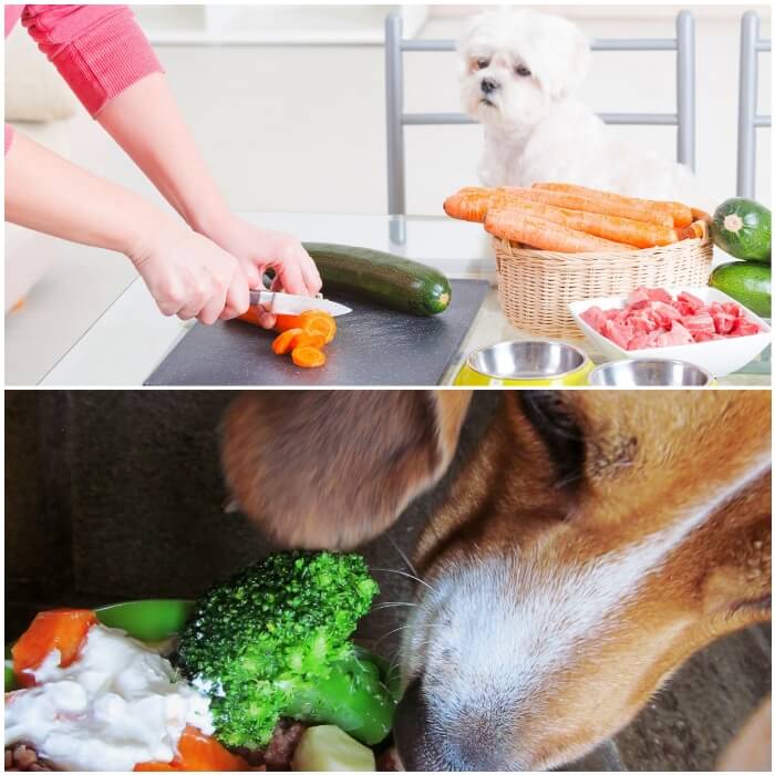 perro comiendo verduras 