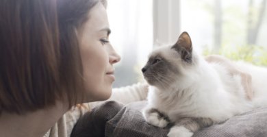 Mujer observando a su gato