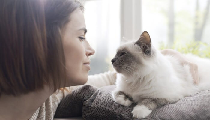 Mujer observando a su gato