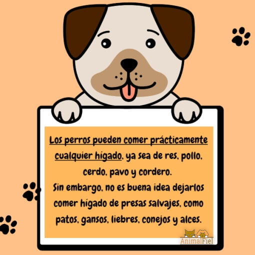 mensaje sobre los perros y el hígado