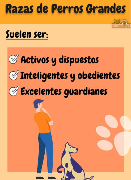 imagen-diseño sobre los perros grandes