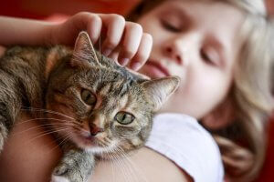 niña cargando y acariciando un gato