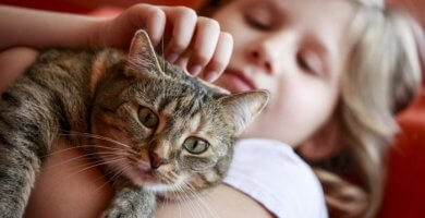 niña cargando y acariciando un gato