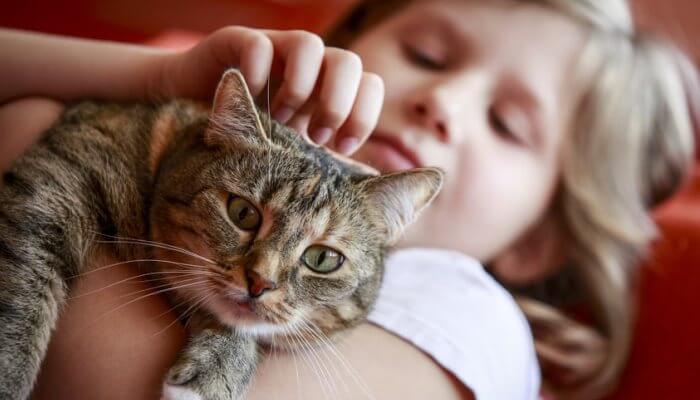 niña cargando y acariciando un gato