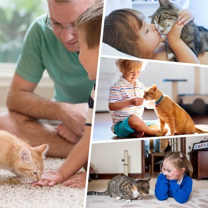 gatico pequeño olfateando la mano de un niño