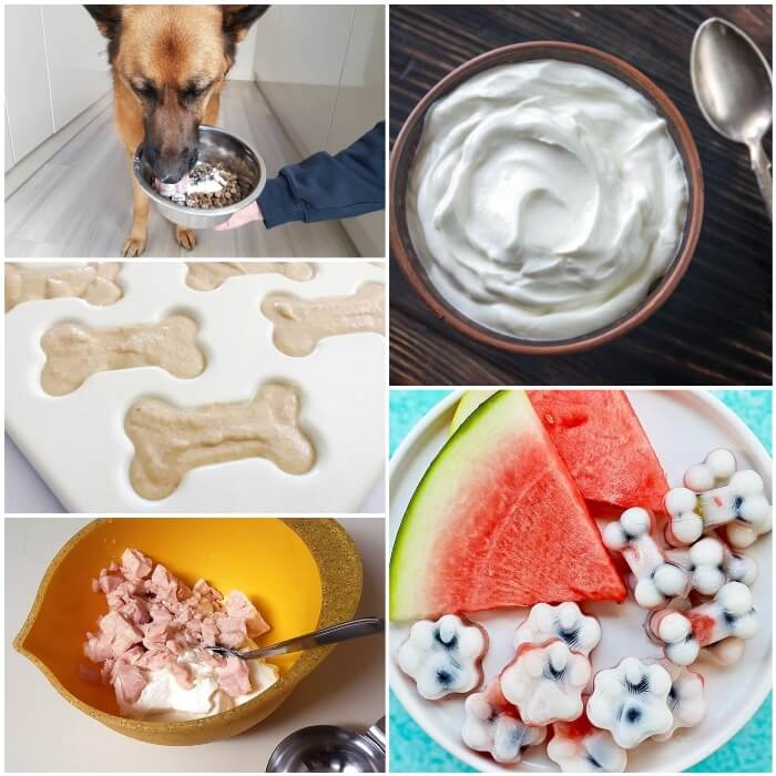 plato con melón y golosinas de yogurt para perros