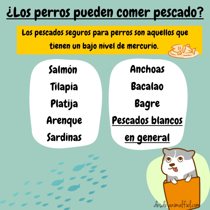 imagen-collage pescados seguros para perros