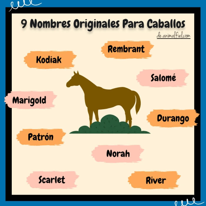 imagen-diseño nombres bonitos para caballos