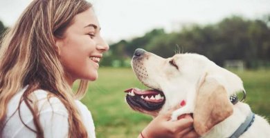 perro bonito sonriendo frente a su dueña