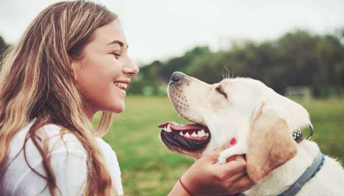 perro bonito sonriendo frente a su dueña