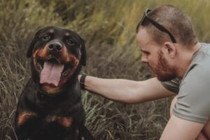 rottweiler entre la hierba con su dueno