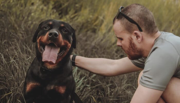 rottweiler entre la hierba con su dueno