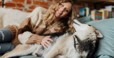 perro acostado con duena en el sofa