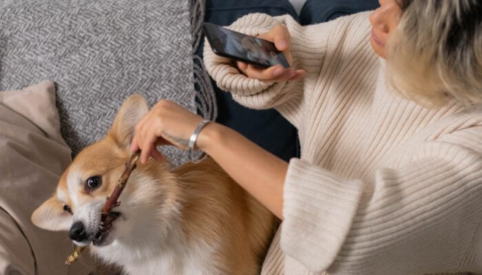 duena tomando foto de su perro