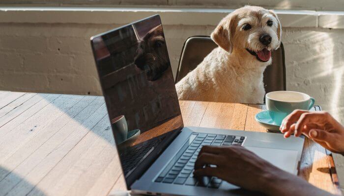 dueno con laptop junto a su perro