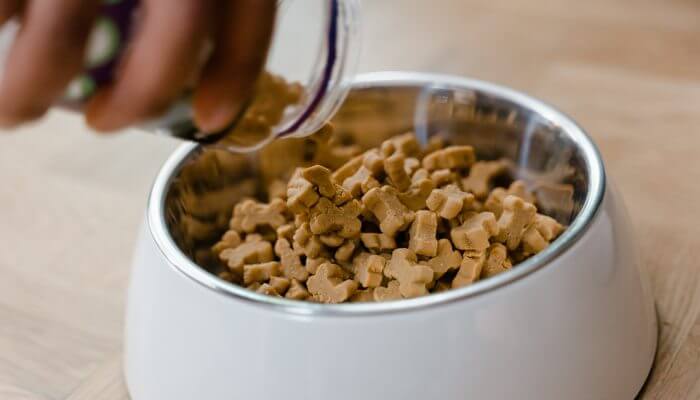 tazon blanco de croquetas secas para perros