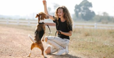 duena premiando a su perro con snack