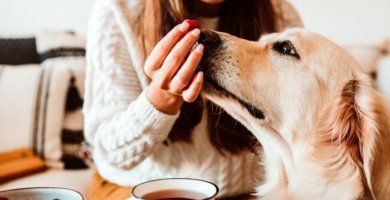 duena dando frutilla a su perro