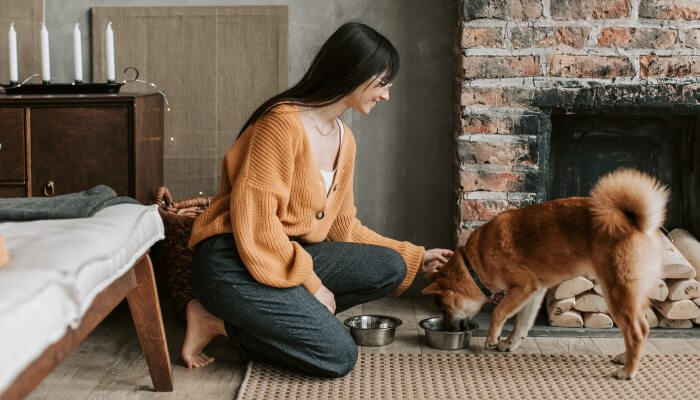 perro comiendo en tazon junto a su duena