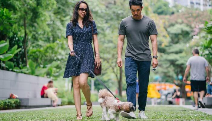 pareja caminando con perro atado a su correa