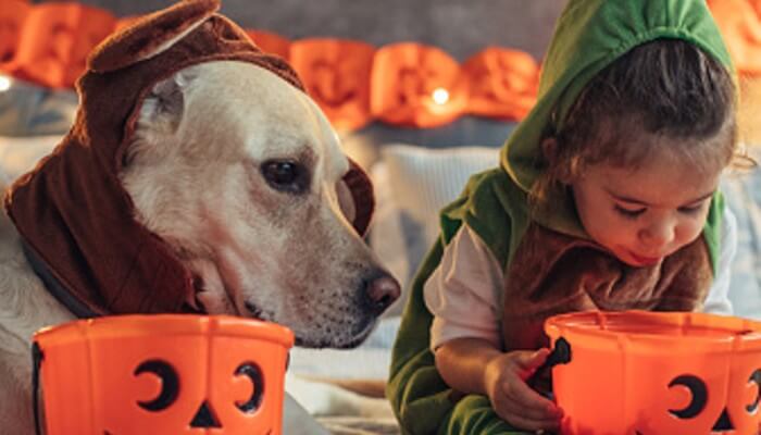 nina y perro con caramelos de halloween
