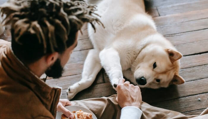 hombre compartiendo snack con su perro