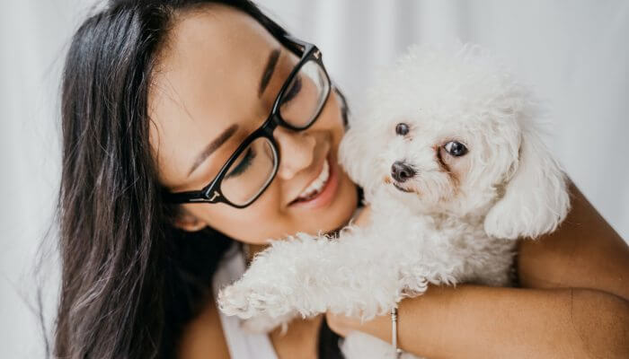 caniche blanco en manos de su duena