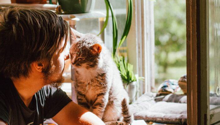 gato y dueno junto a una ventana