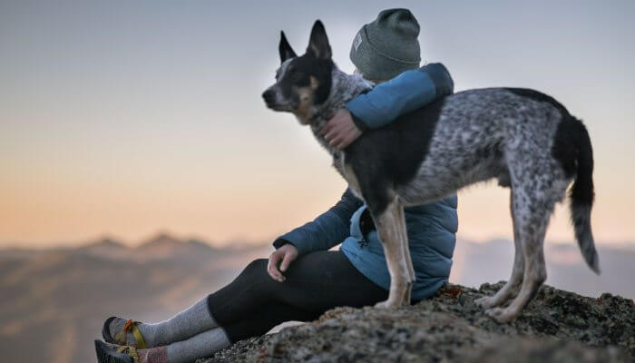hombre sentado con su perro sobre roca