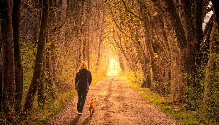 mujer caminando con perro por sendero iluminado