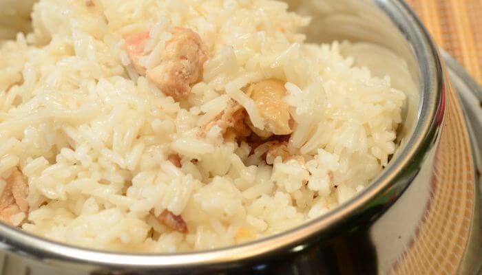 plato de arroz con pollo para perros