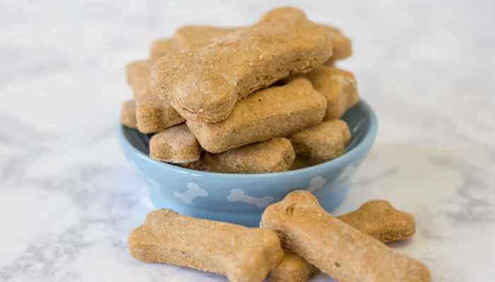 tazón azul con galletas para perros