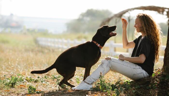 mujer sentada dando galleta a su perro